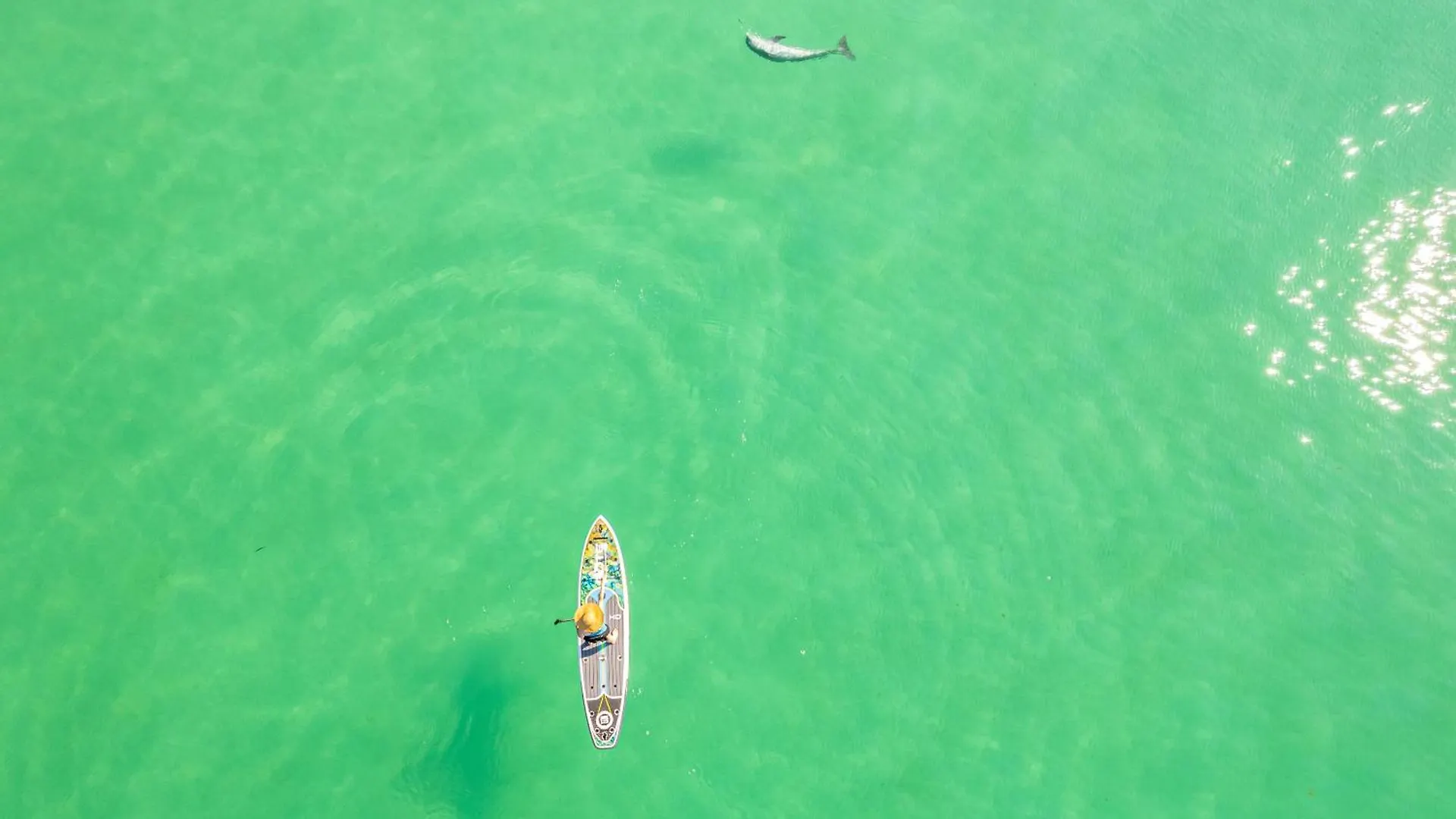 Apartment Beach House 201C- By Holiday Isle Properties Destin